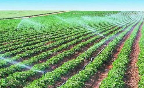 又大又粗操出白桨视频网站农田高 效节水灌溉